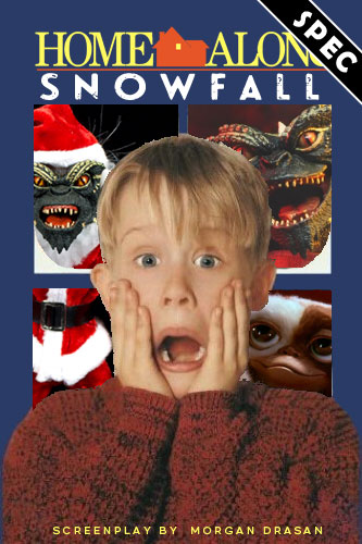 Home Alone: Snowfall